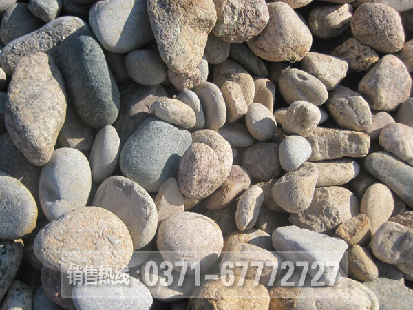 河卵石 河卵石